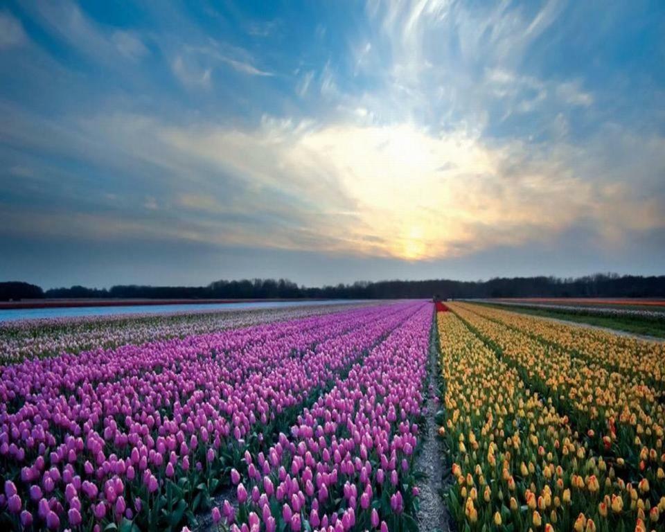 Het Hoekhuisje เอ็กมอนด์อานเซ ภายนอก รูปภาพ